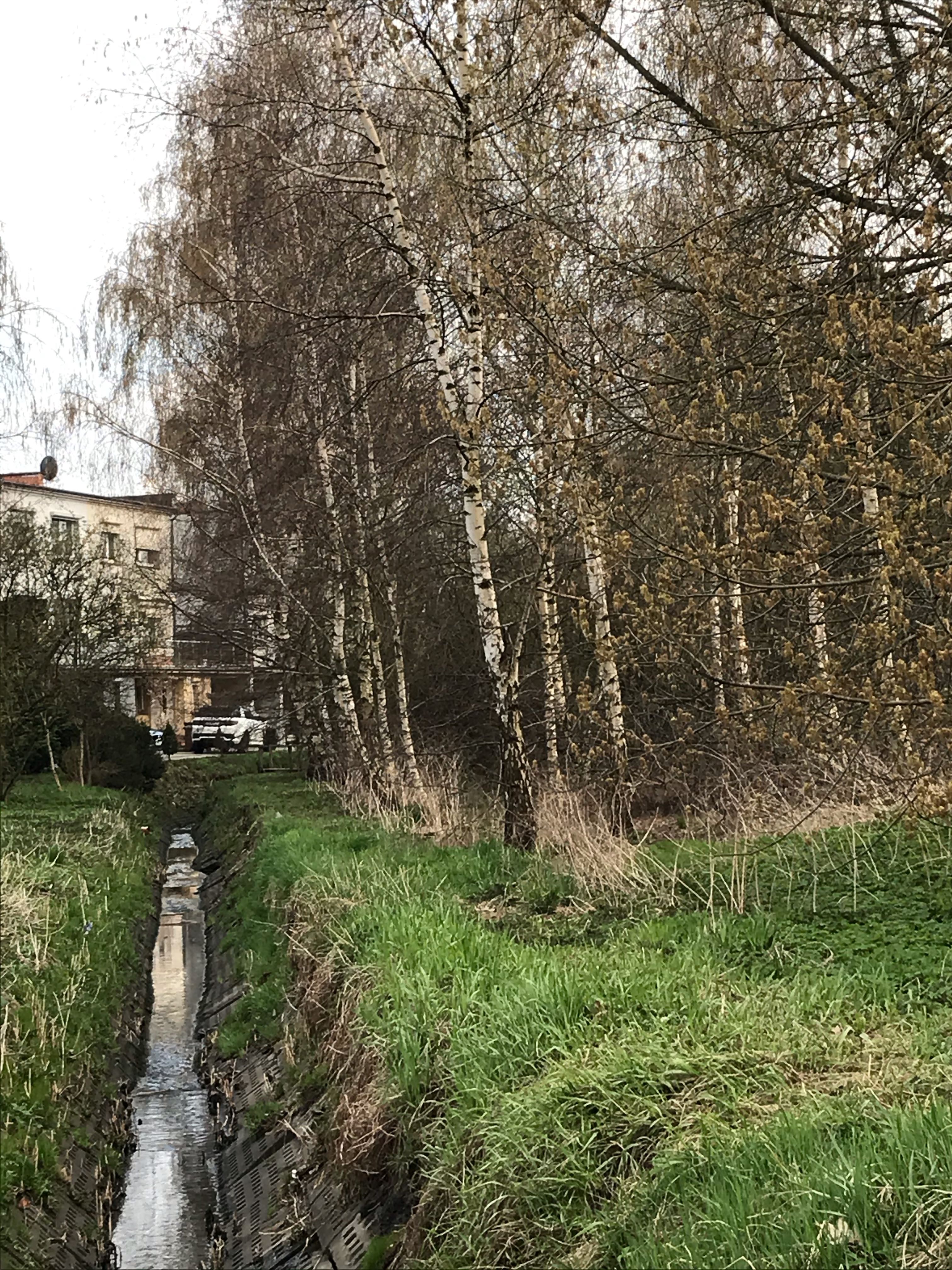 Maria Milewska 3.jpg